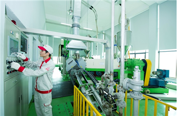 CADI-SUN tăng tốc sản xuất, hướng tới mục tiêu tăng trưởng năm 2026