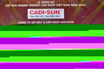 CADI-SUN, tiếp tục duy trì Top 500 doanh nghiệp lớn nhất Việt Nam